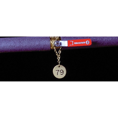 Numbered Brass Valve Tags 101-125 (SBT125)