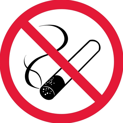 No Smoking Iso Label (ISO219AP)