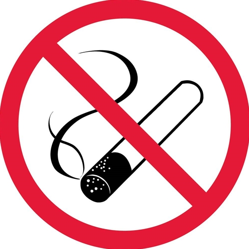 No Smoking Iso Label (ISO419AP)