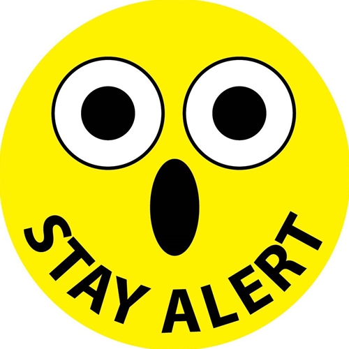 Stay Alert Hard Hat Emblem (HH82)