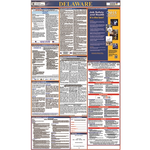 Labor Law Posters (LLP-DE)