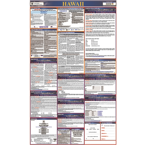 Labor Law Posters (LLP-HI)