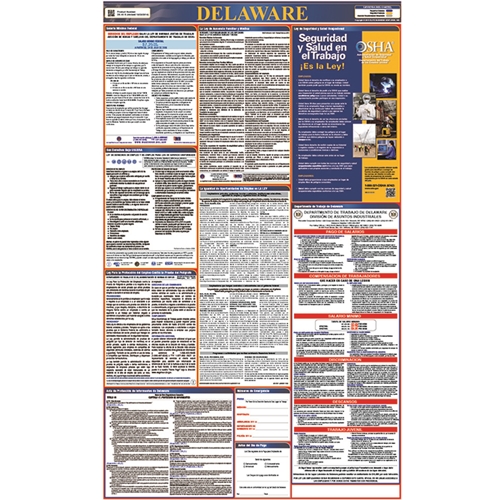 Spanish Labor Law Posters (LLPS-DE)