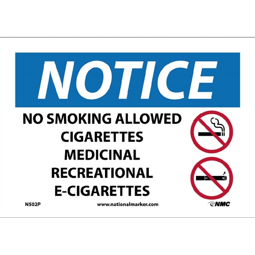 No Smoking Allowed Sign (N502P)