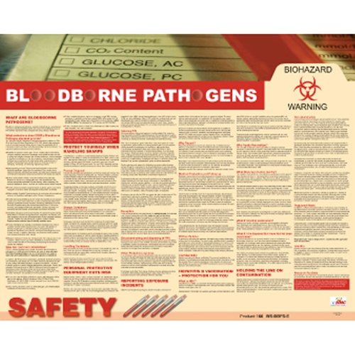 Blood Borne Pathogens Poster (PST005)