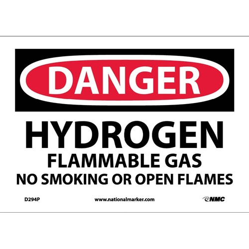 Danger No Smoking Sign (D294P)