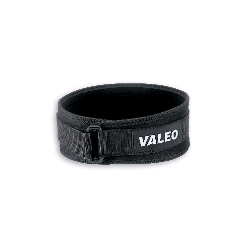 Valeo Performance Low Profile Back Support